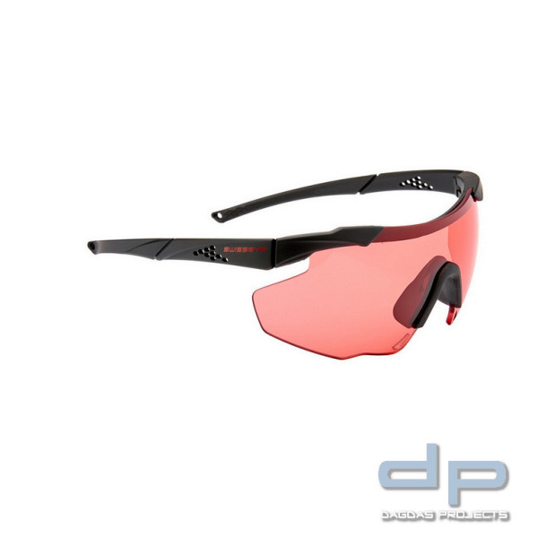 SwissEye-Brille MagV620