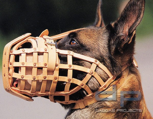 Maulkorb BORK