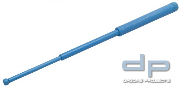 Training Baton